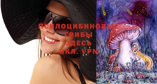 сатива Горно-Алтайск