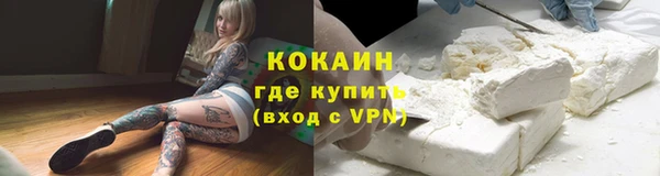 сатива Горно-Алтайск