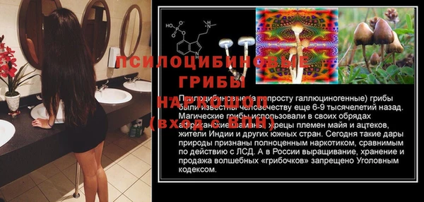 твердый Горнозаводск